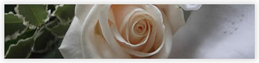 click to enlarge Complementi floreali per matrimonio
